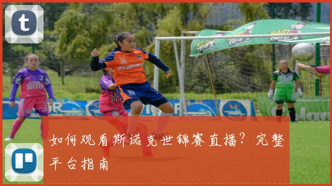 如何观看斯诺克世锦赛直播?完整平台指南